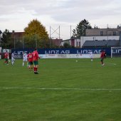 Bild_(112_von_163)_2.jpg