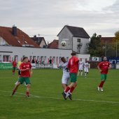 Bild_(130_von_163)_2.jpg
