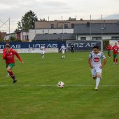 Bild_(133_von_163)_2.jpg