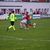 Bild_(137_von_163)_2.jpg