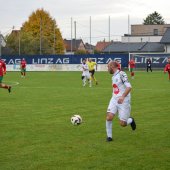 Bild_(143_von_163)_2.jpg
