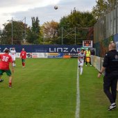 Bild_(153_von_163)_2.jpg