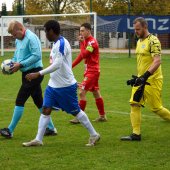 Bild_(1_von_131).jpg