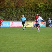 Bild_(114_von_131).jpg