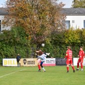 Bild_(121_von_131).jpg