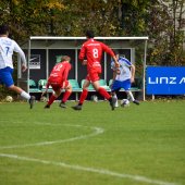 Bild_(123_von_131).jpg