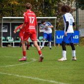 Bild_(124_von_131).jpg