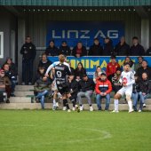 Bild_(28_von_190)_2.jpg