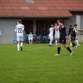 Bild_(42_von_190)_2.jpg