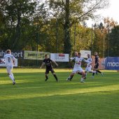 Bild_(139_von_190)_2.jpg