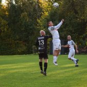 Bild_(140_von_190)_2.jpg