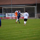 Bild_(50_von_148).jpg