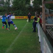 Fotograf_-_Robert_Scheidl_(11)_35.jpg
