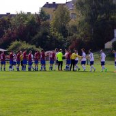 SV_Chemie_vs_FC_Stahl_Linz_2015-1_-_Fotograf_-_Andreas_Ebner.JPG