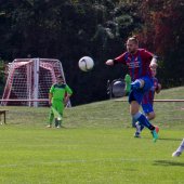 SV_Chemie_vs_FC_Stahl_Linz_2015-6_-_Fotograf_-_Andreas_Ebner.JPG