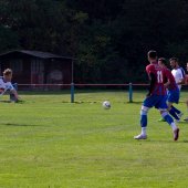 SV_Chemie_vs_FC_Stahl_Linz_2015-14_-_Fotograf_-_Andreas_Ebner.JPG