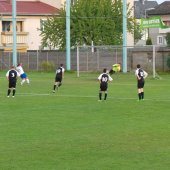 Fotograf_-_Robert_Scheidl_(78)_4.jpg