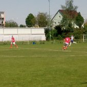 Fotograf_-_Robert_Scheidl_(35)_24.jpg