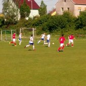 Fotograf_-_Robert_Scheidl_(63)_10.jpg